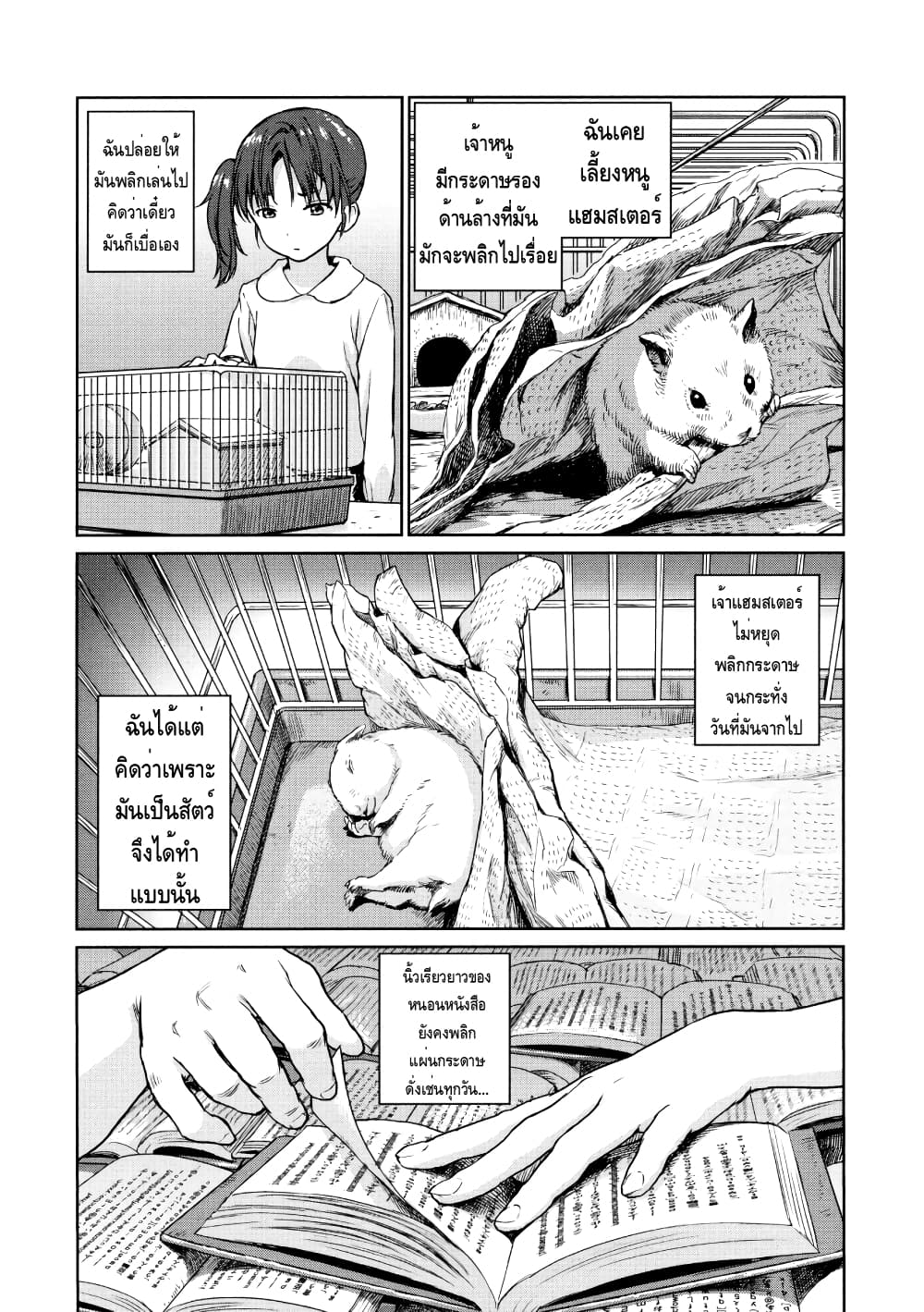 The Bookworm 1-One Shot