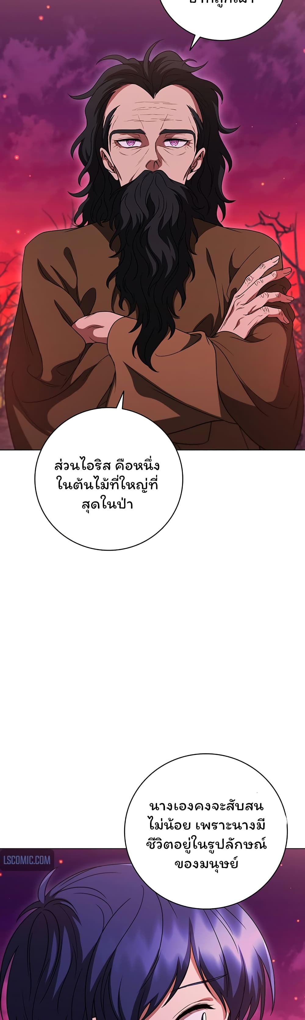 Dragon Lady 37-37
