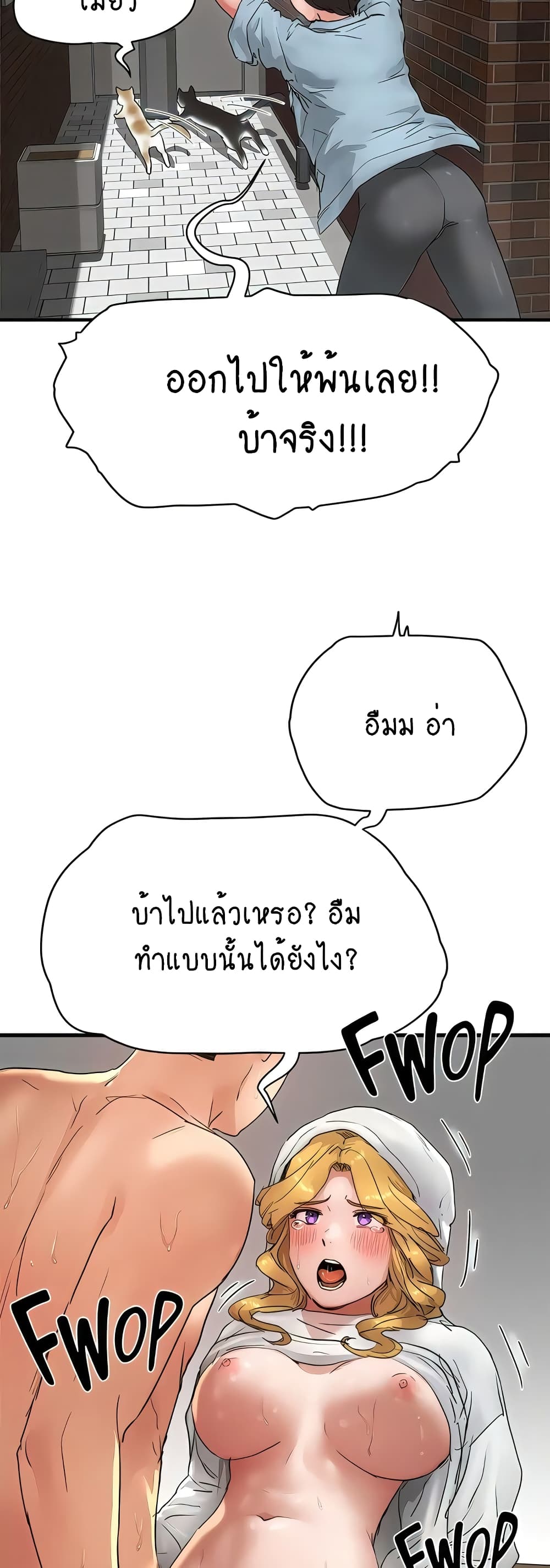In the Summer 56-56