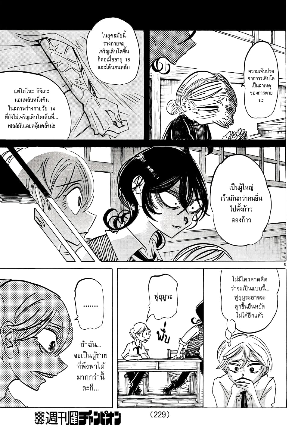 Sanda 43-ม่านสีฟ้าอ่อน