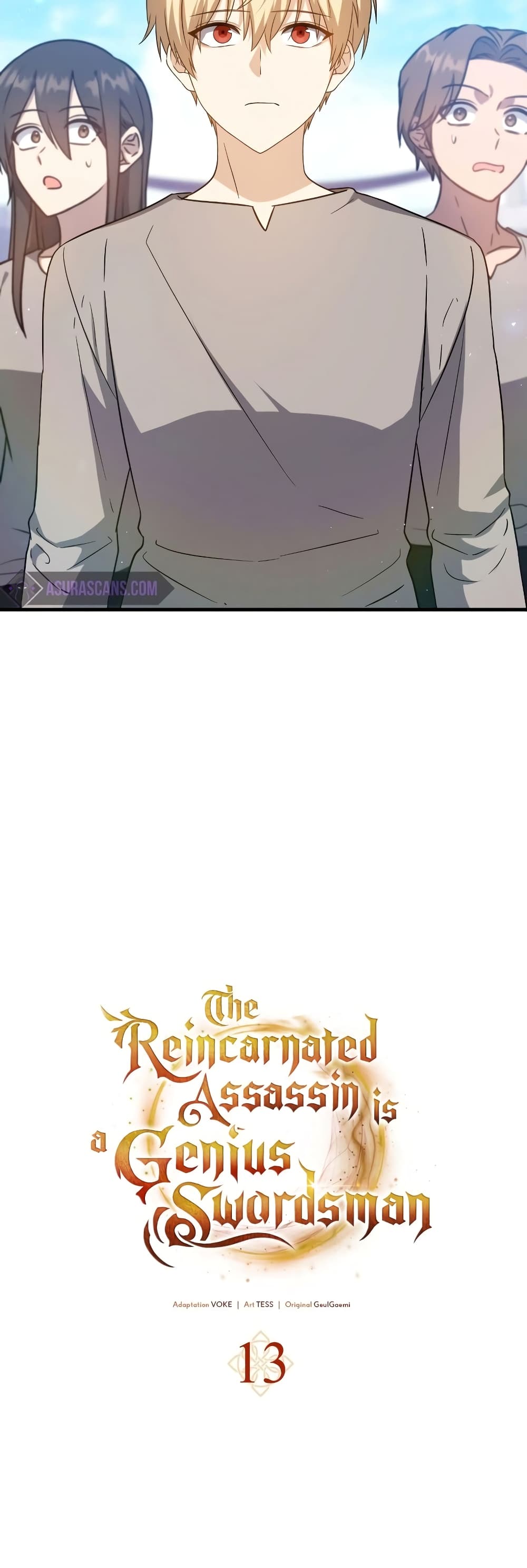 The Reincarnated Assassin is a Genius Swordsman 13-13