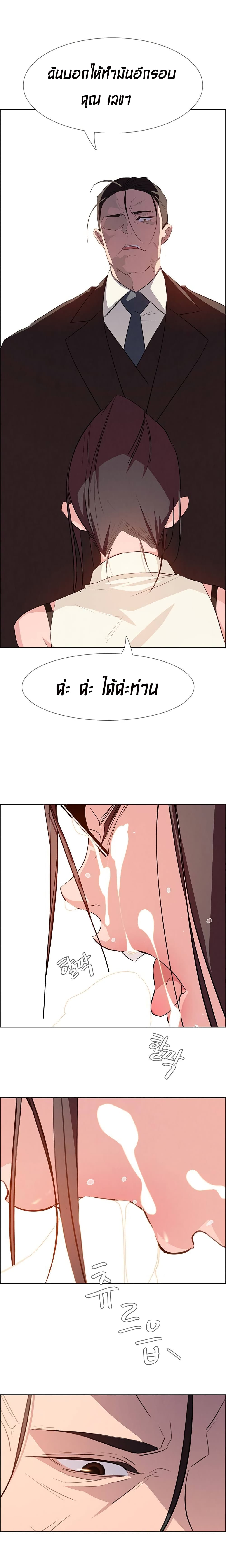 Rain Curtain 21-21