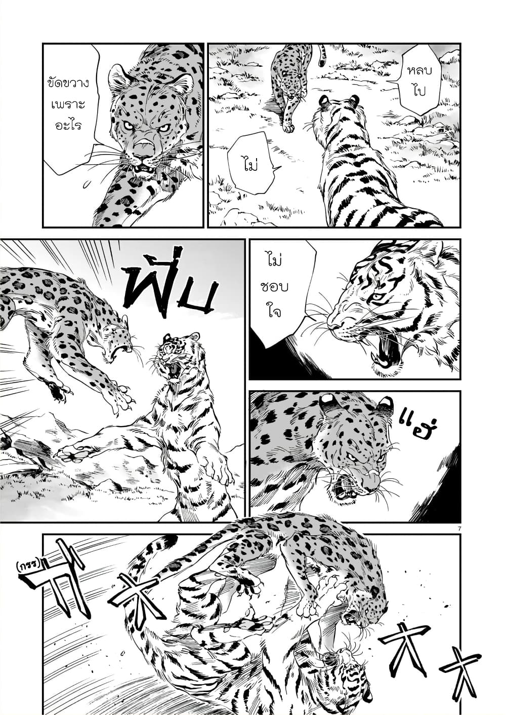 Tora ha Ryuu wo mada Tabenai โตเมื่อไร จับหม่ำ 9-จิ้งจอกกับเสือดาว