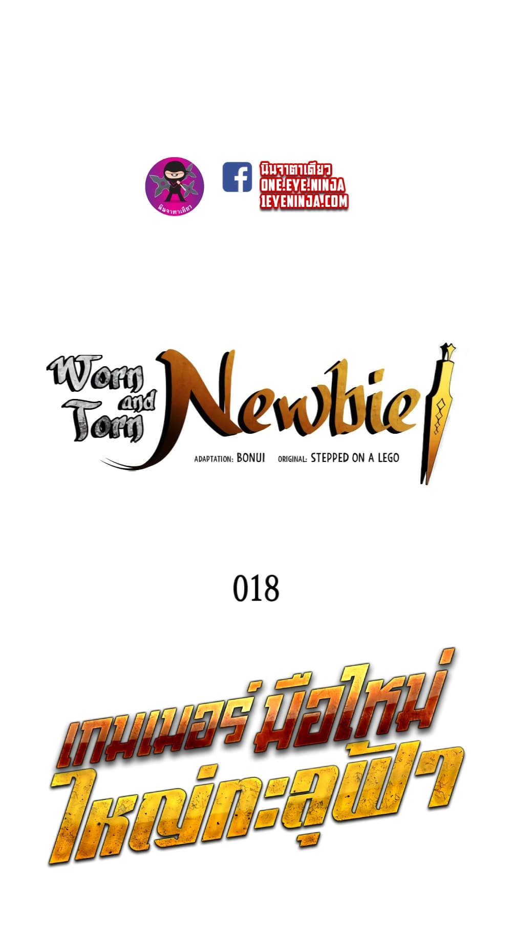 Worn and Torn Newbie 18-18
