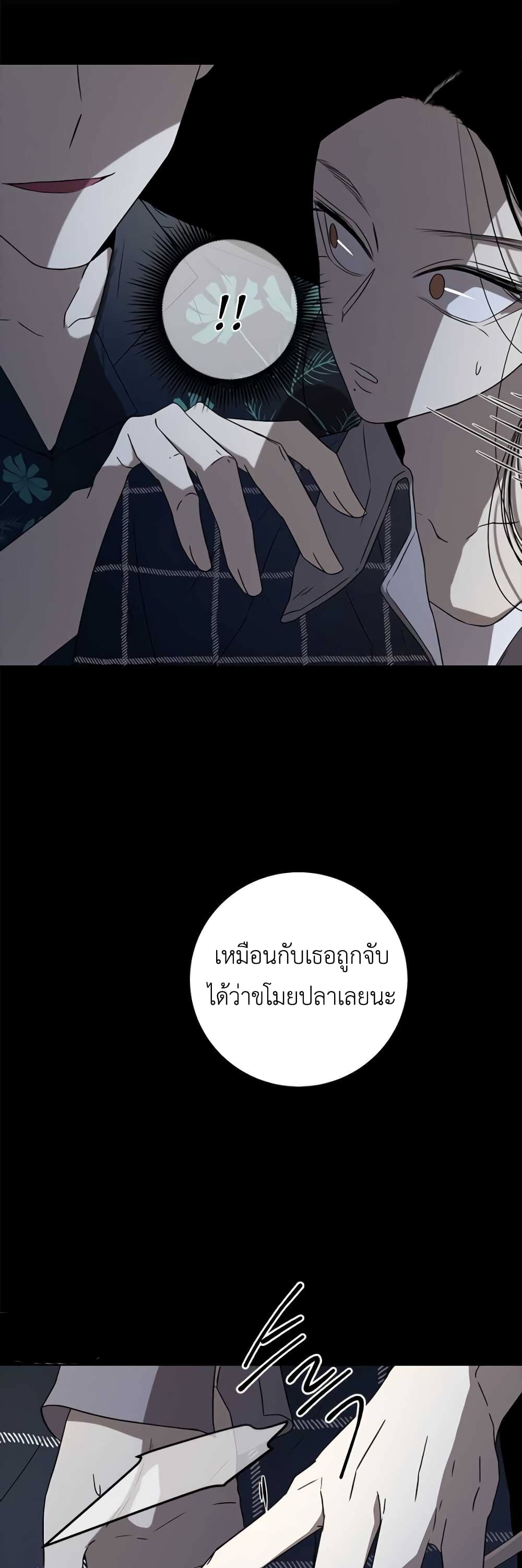 Olgami 30-30