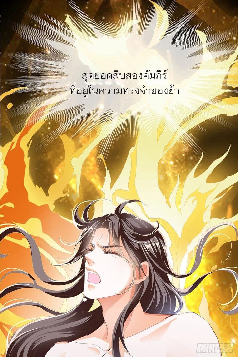 Nine Stars Overlord Body 1-1