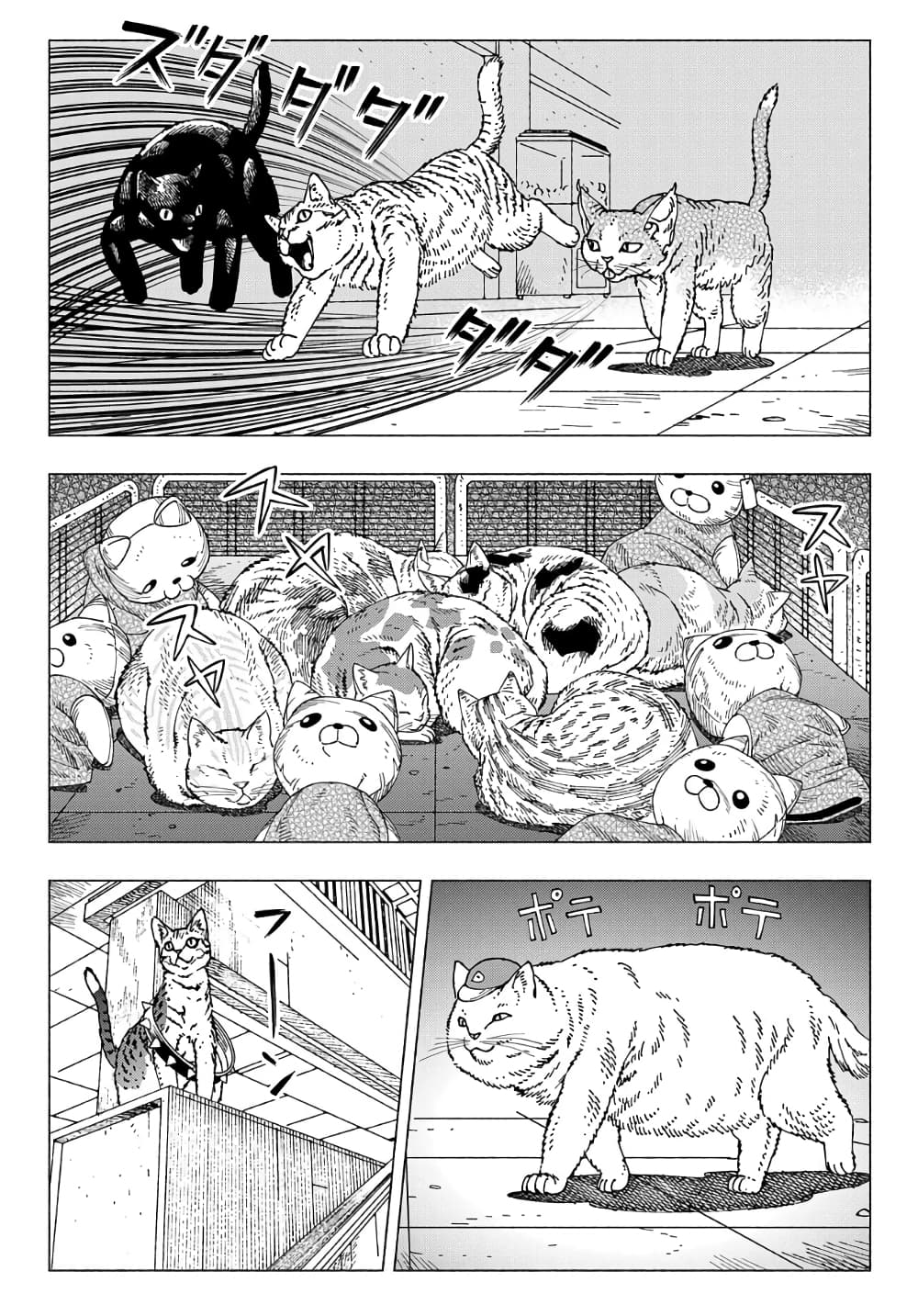 Nyaight of the Living Cat ซอมบี้เหมียวครองโลก! 9.1-แมว D-rex จากดาวเคราะห์