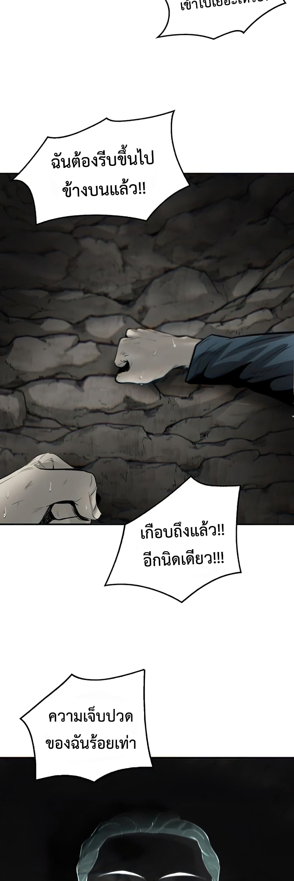 Mujin 3-3