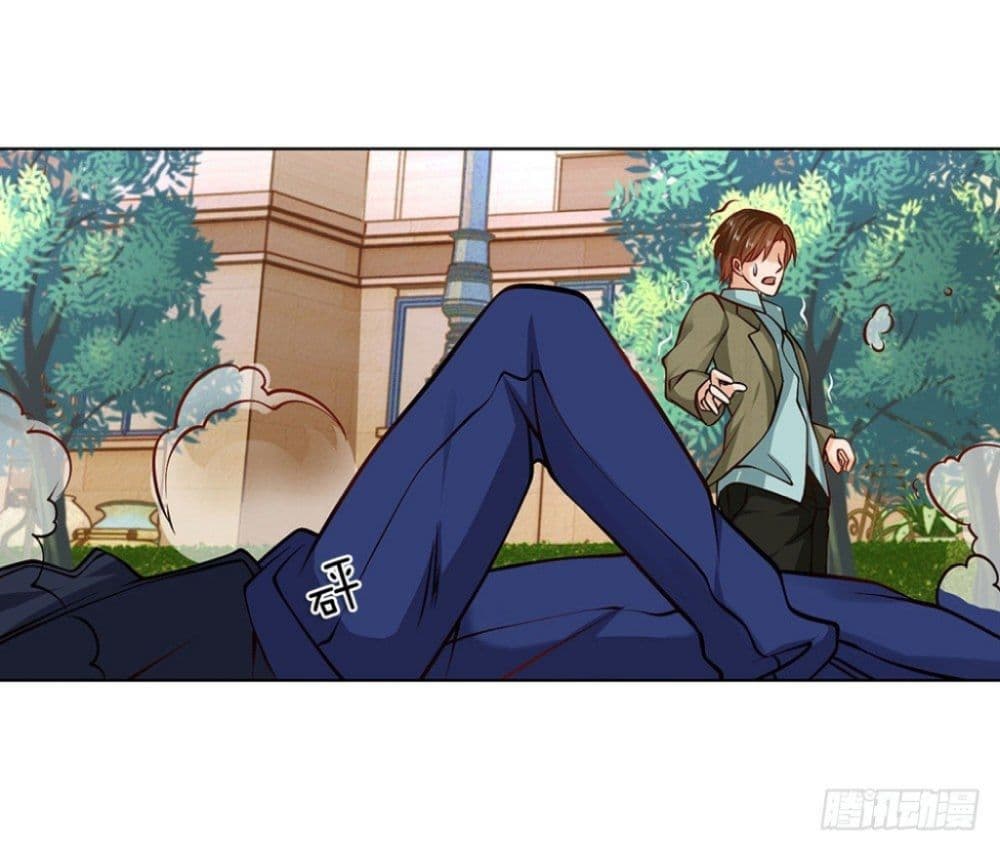 Flower Protector King In The City 4-4