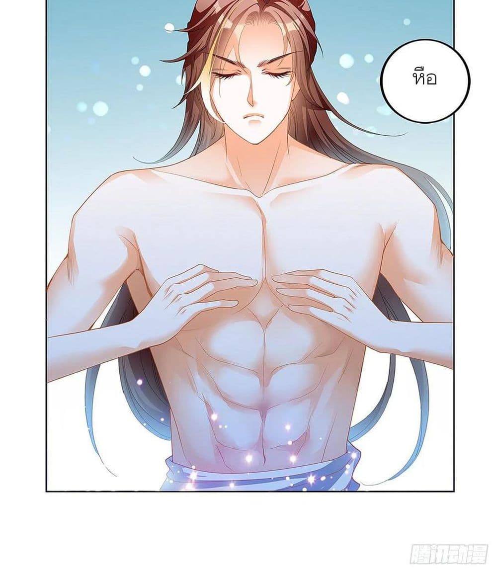 Nine Stars Overlord Body 4-4