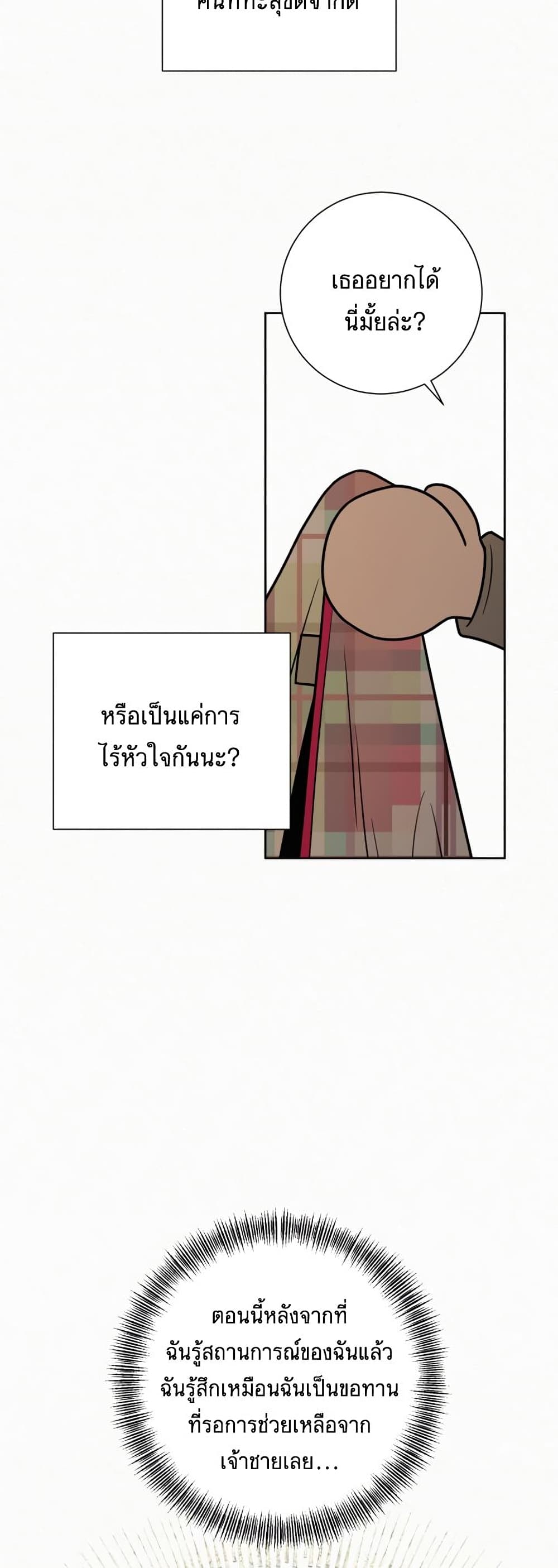 Operation True Love 21-21