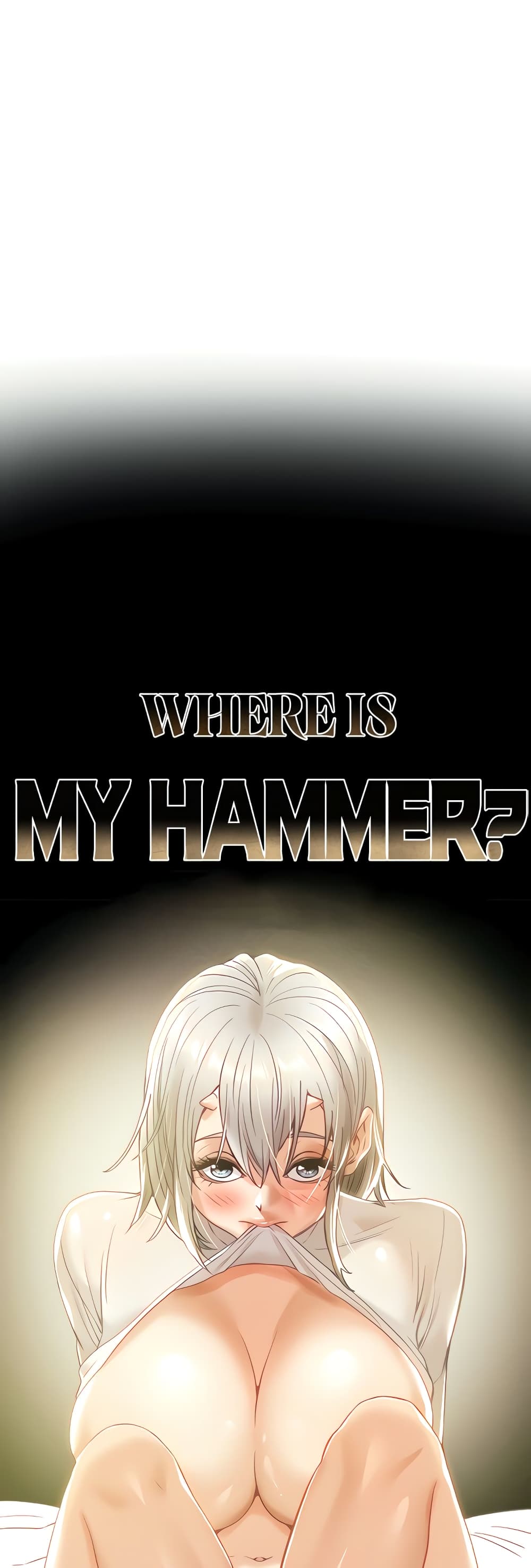 Where Did My Hammer Go? 40-40