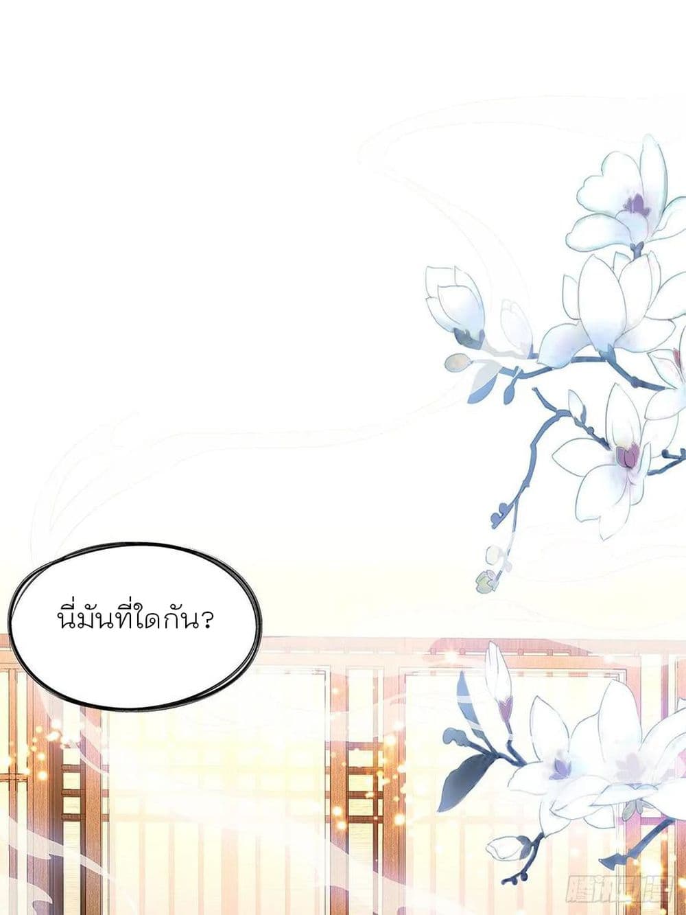 Nine Stars Overlord Body 8-8