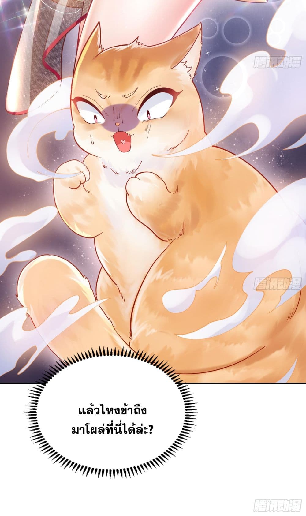 God-level Contract Start With a Cat 1-1