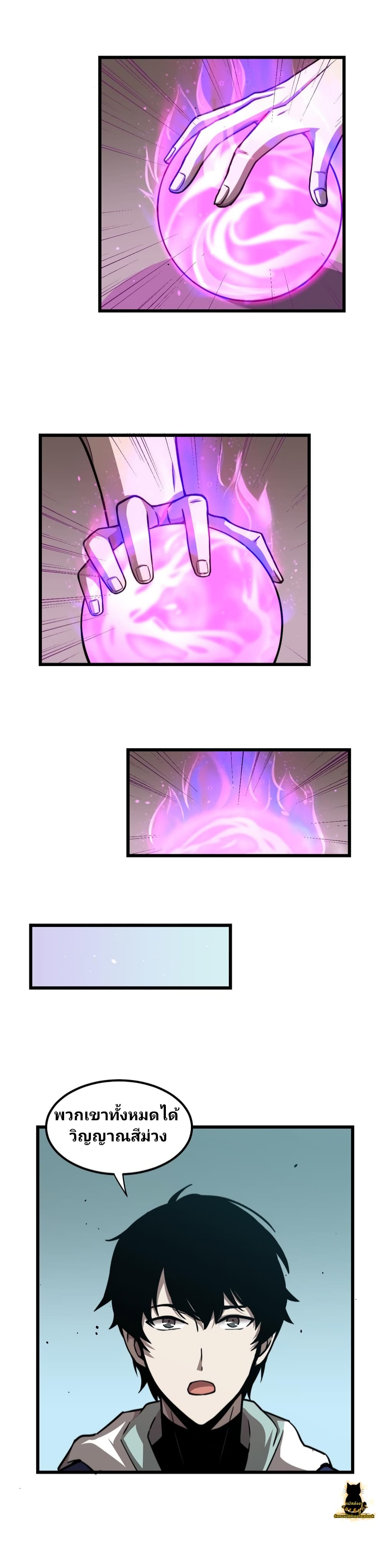 Super Evolution 31-31