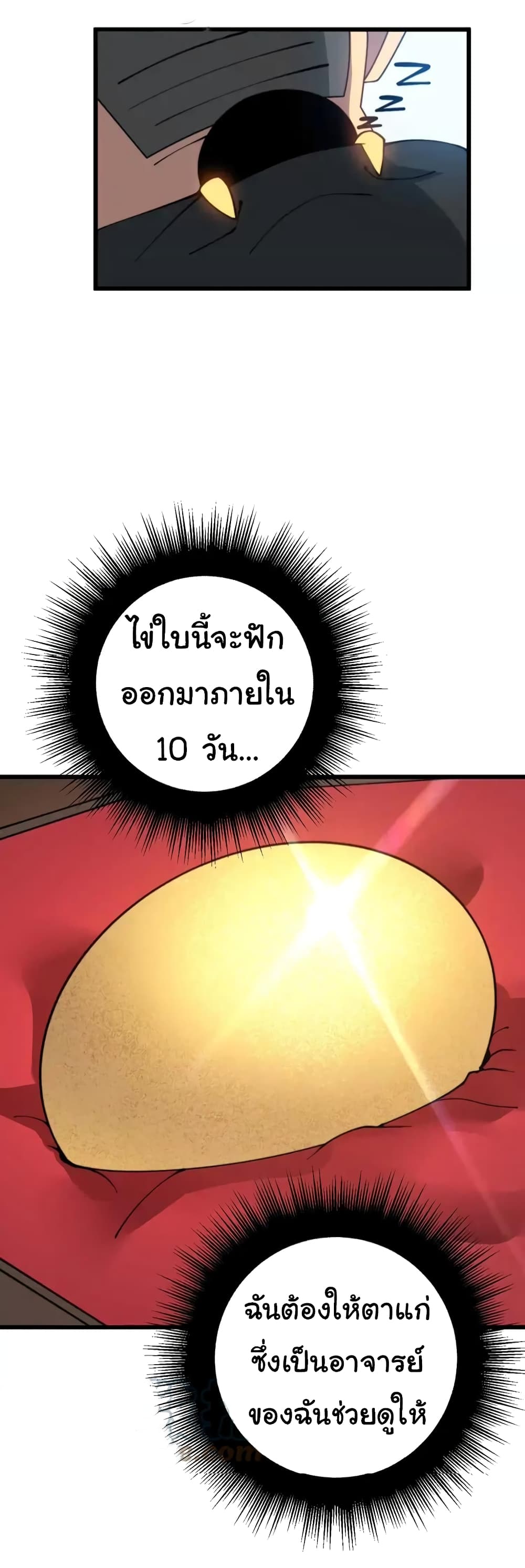Bad Hand Witch Doctor 269-269