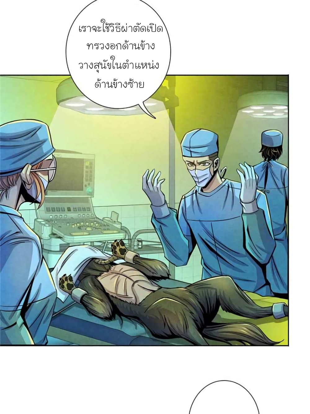 Dr.Don 31-31