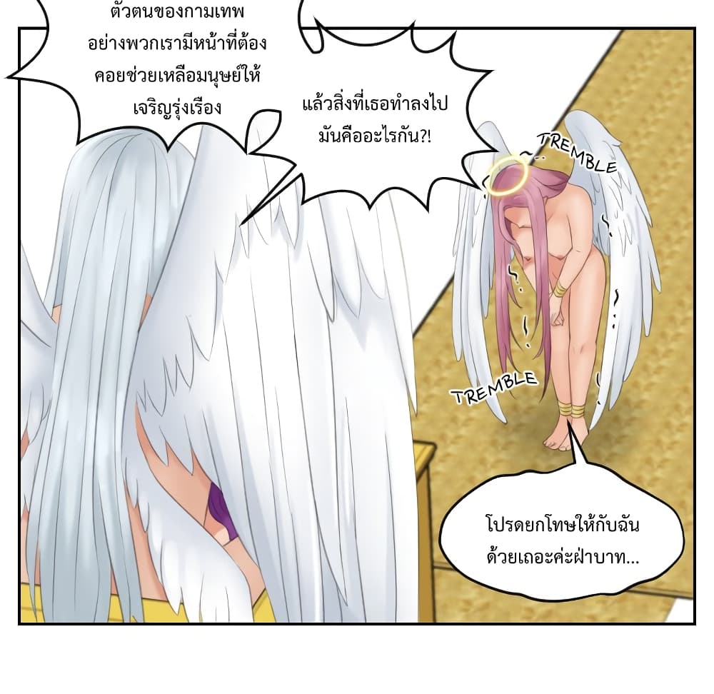 My Love Companion 0-0