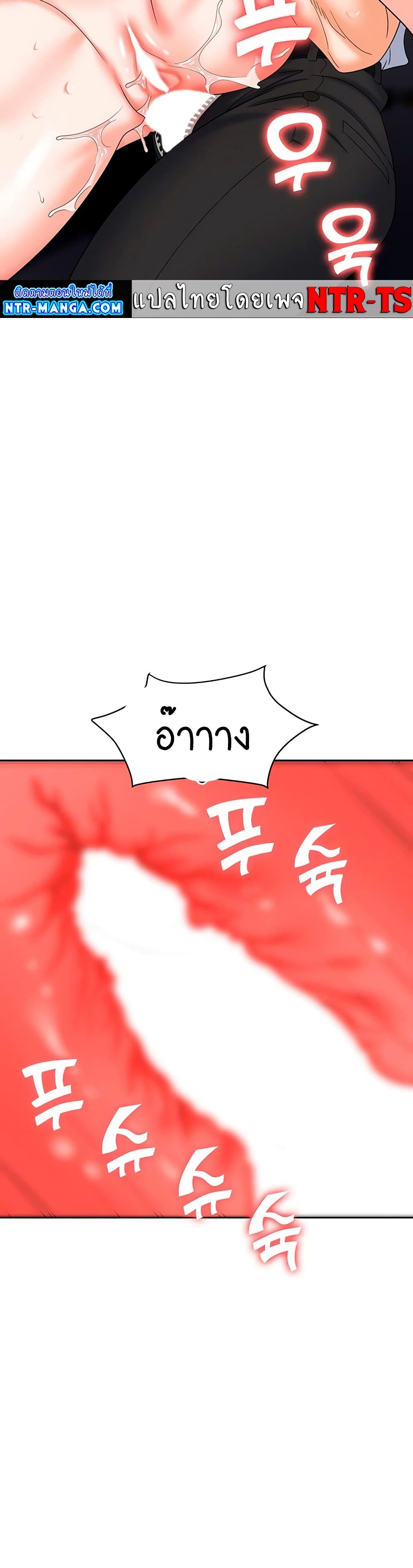 Trap 42-42