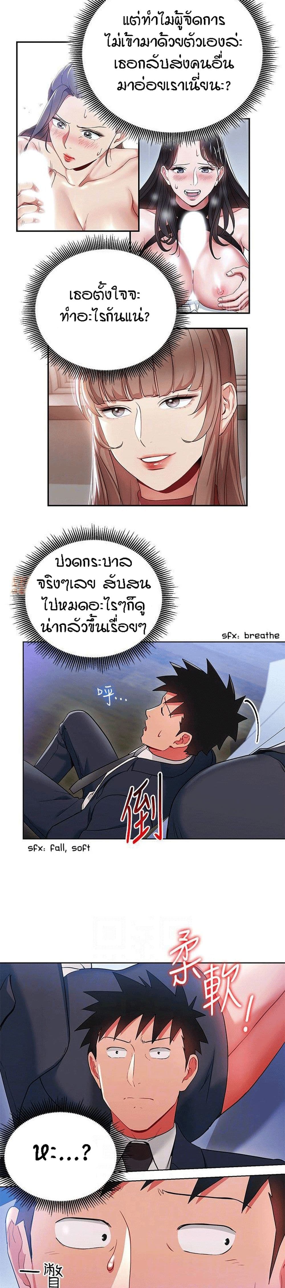 Boss Reverse 19-19