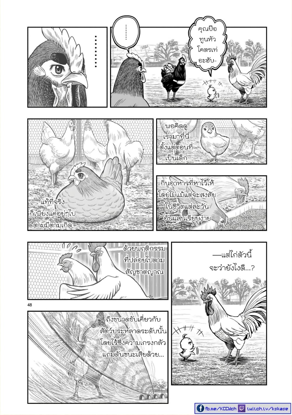 Rooster Fighter ป๋าโต้งชนยับ 11-พอล่าไก่เสร็จ ธนูก็สิ้นค่า (คนที่คอยโหมงาน กลับถูกทิ้งในตอนจบ