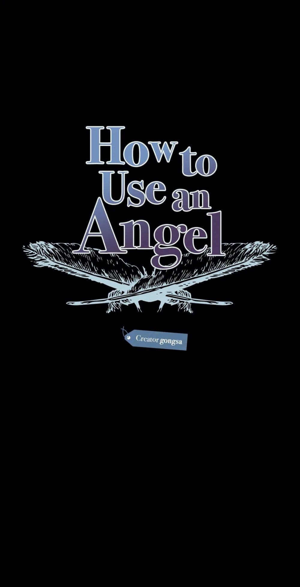 How to Use an Angel 24-24