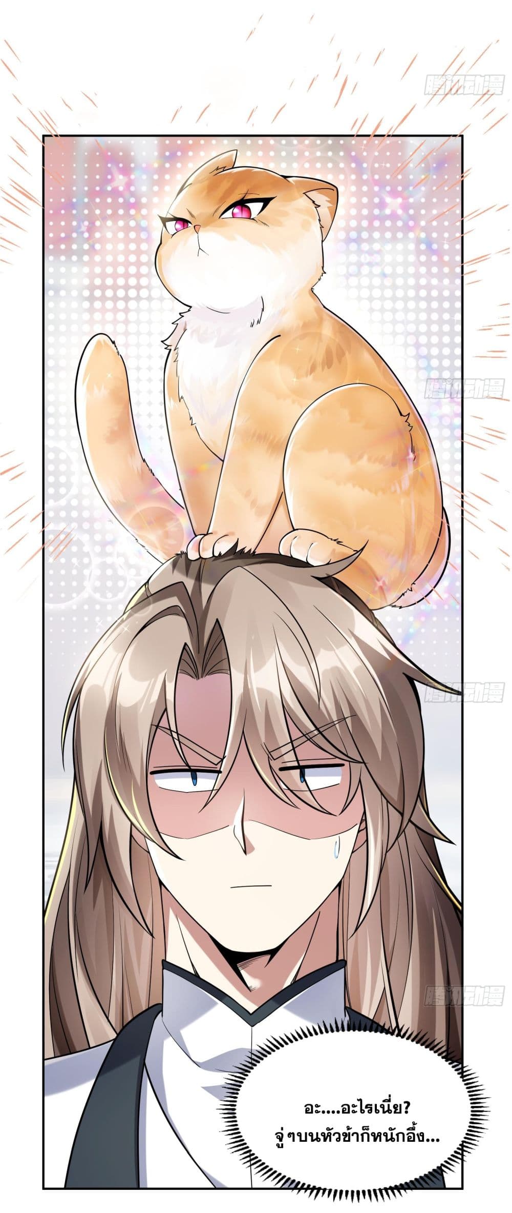 God-level Contract Start With a Cat 1-1
