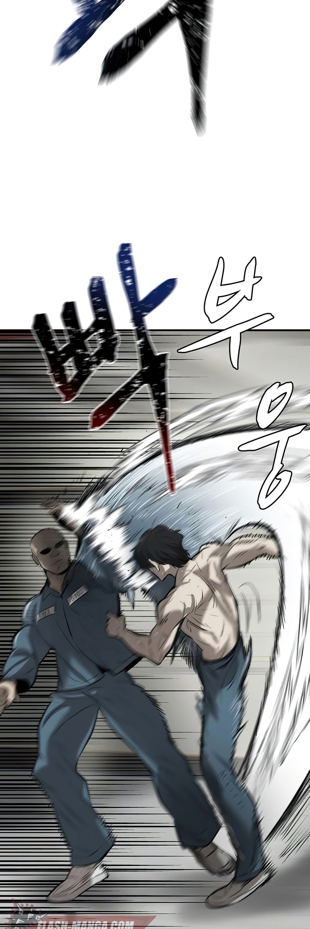 Mujin 3-3