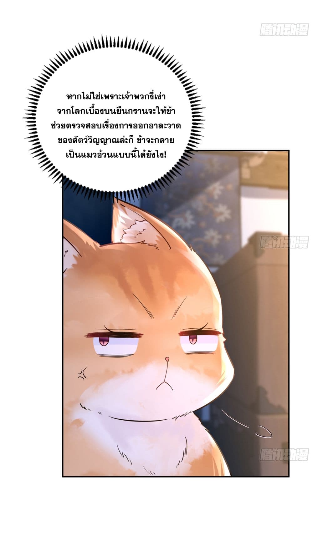 God-level Contract Start With a Cat 4-4