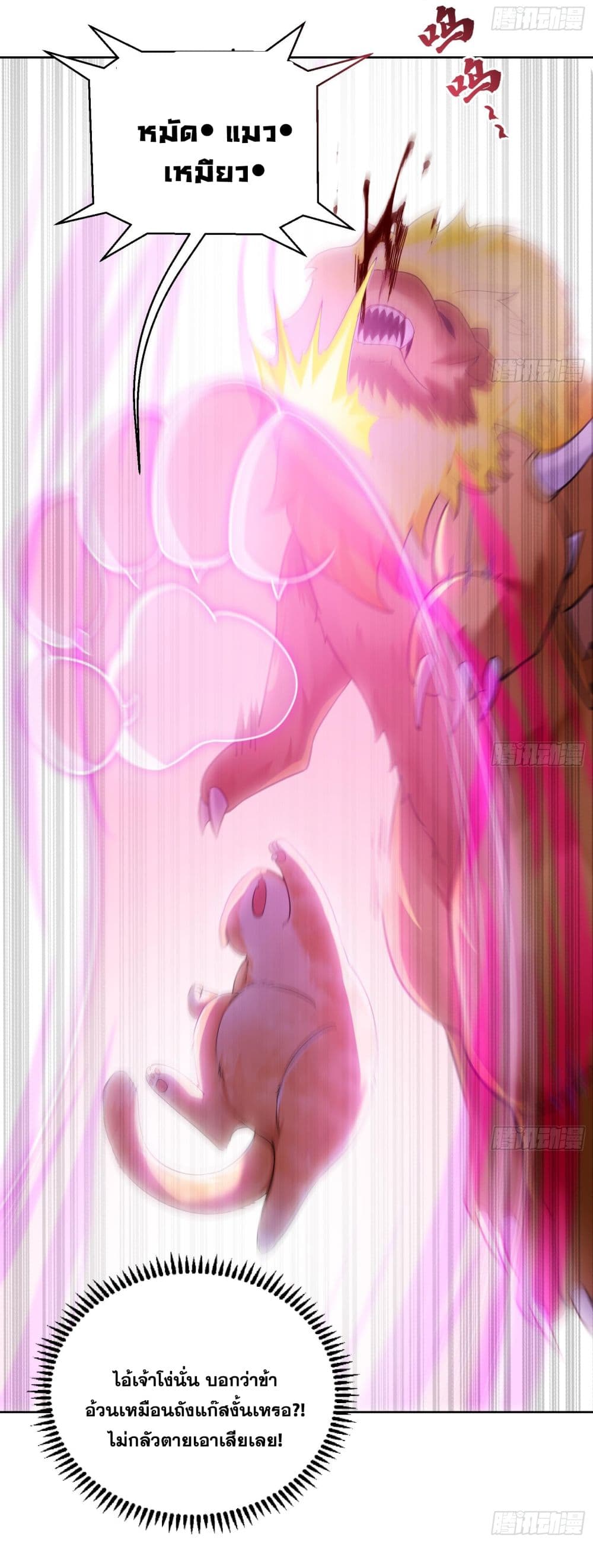 God-level Contract Start With a Cat 2-2