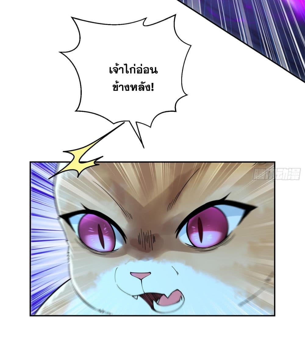 God-level Contract Start With a Cat 5-5