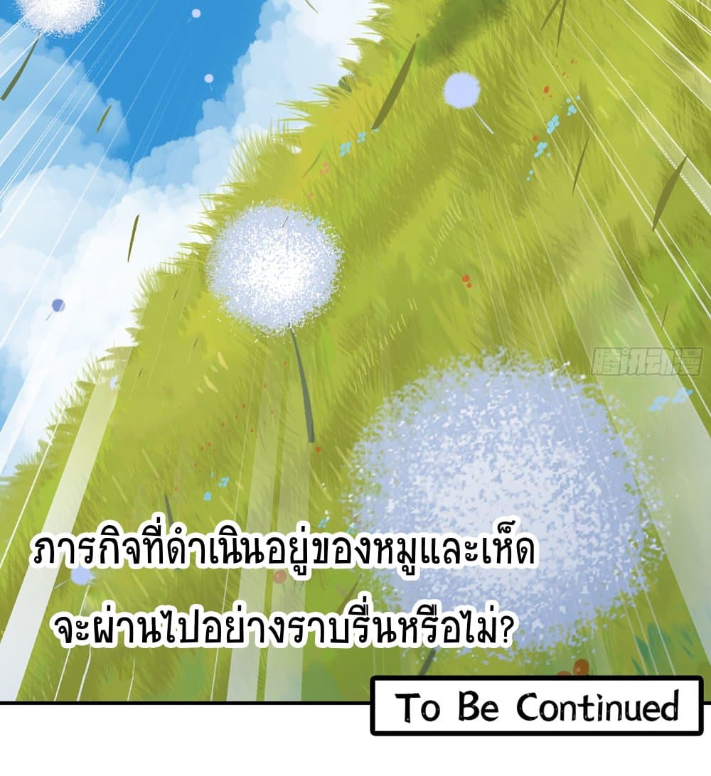 Mushroom Brave 13-13