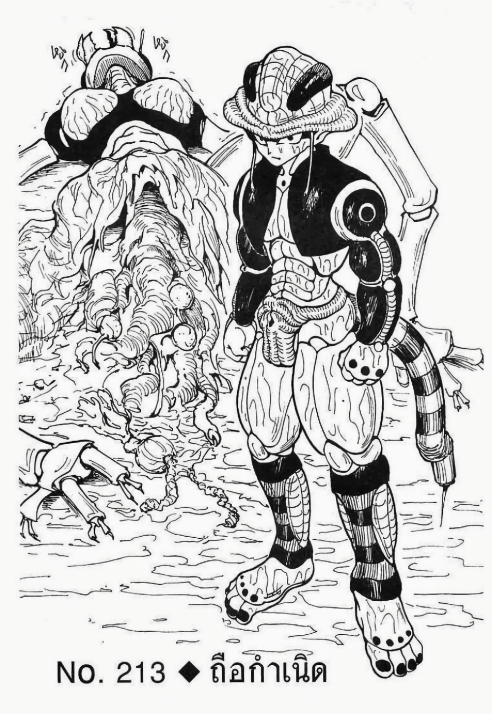 Hunter X Hunter 213-213