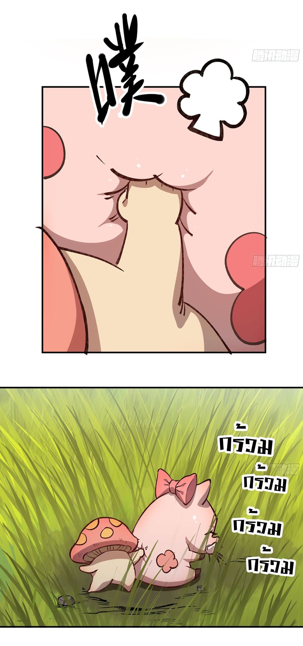 Mushroom Brave 13-13