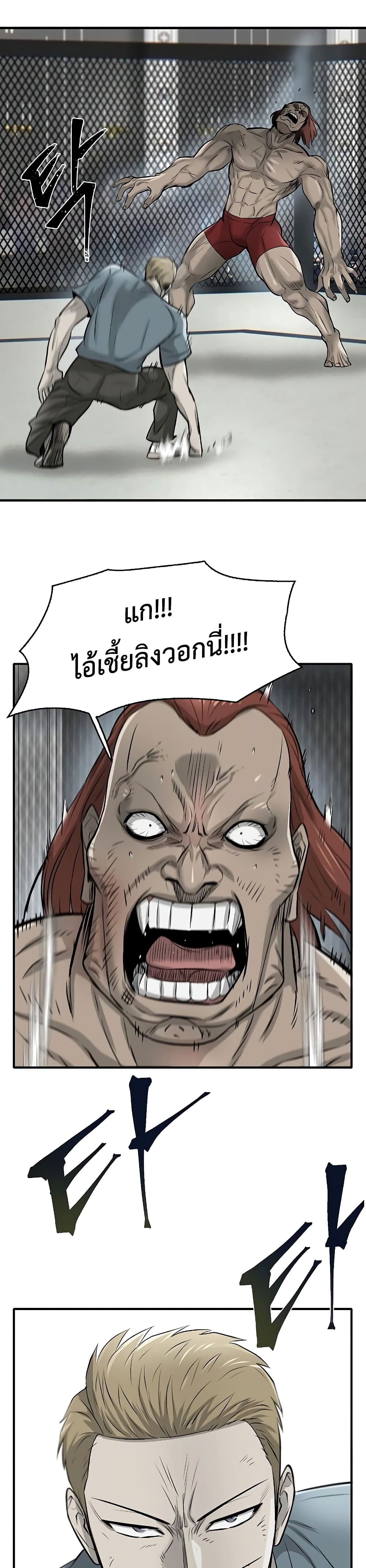Mujin 13-13