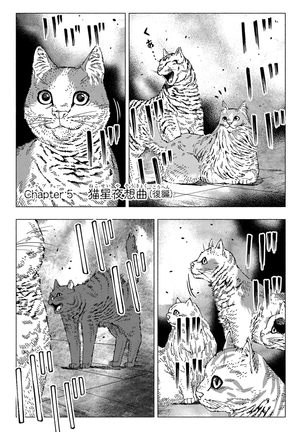 Nyaight of the Living Cat ซอมบี้เหมียวครองโลก! 5.3-Cat Star Nocturne (ภาคปลาย)