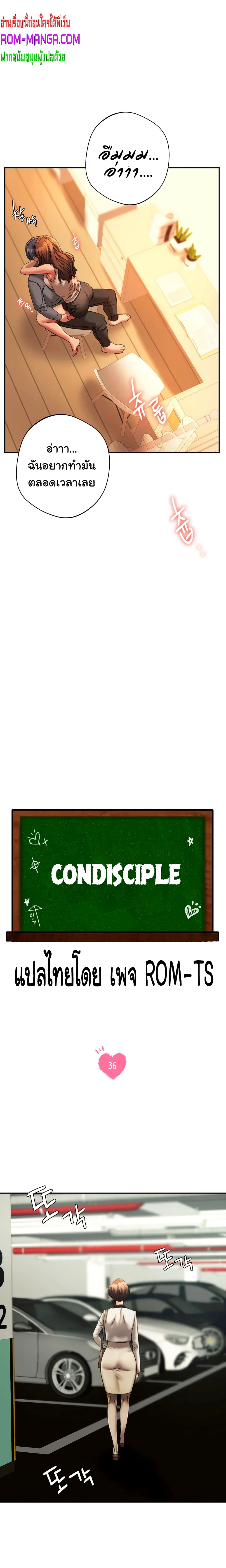 Condisciple 36-36