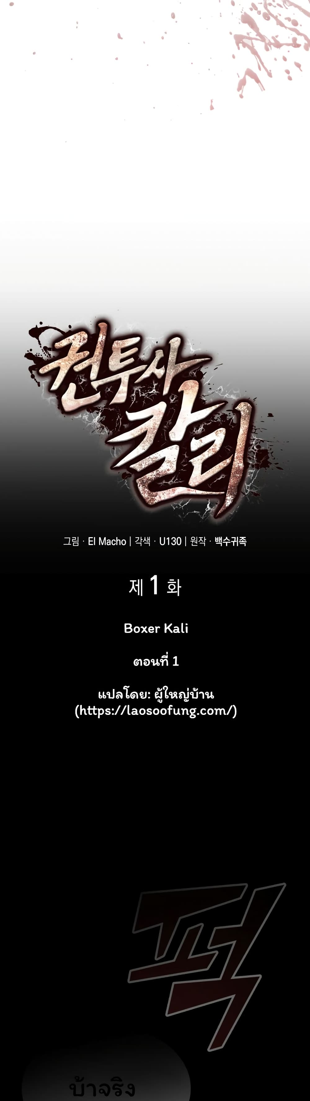 Boxer Kali 1-1