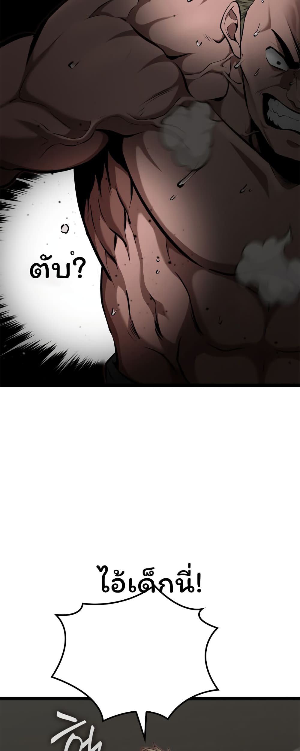 Boxer Kali 19-19