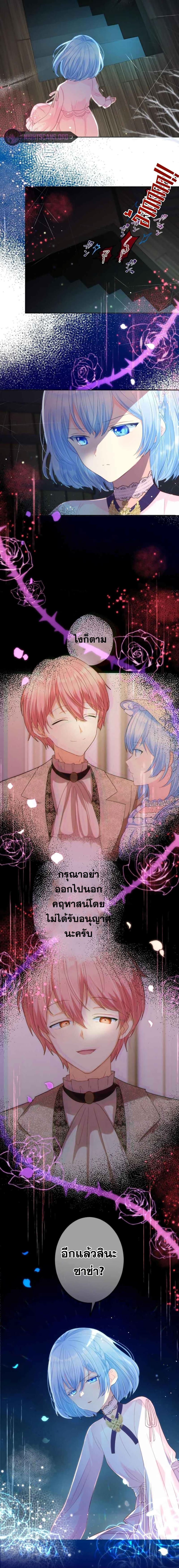 The Precious Girl Does Not Shed Tears 11-11