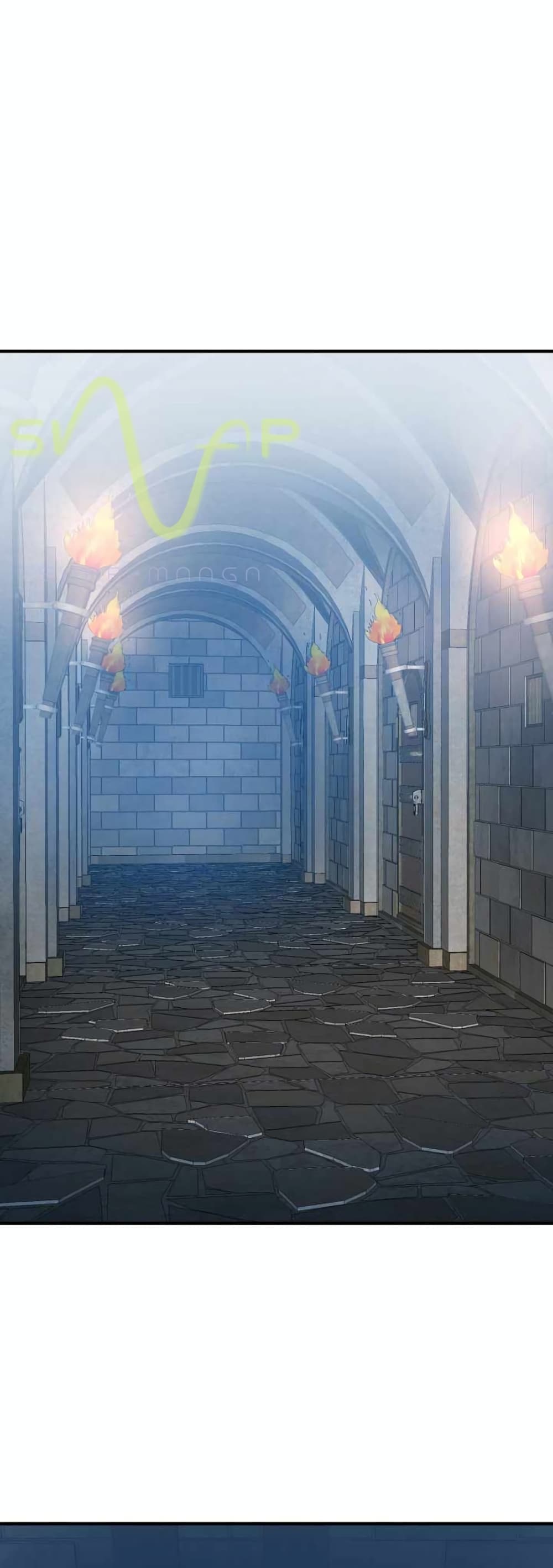 Standard of Reincarnation 1-1