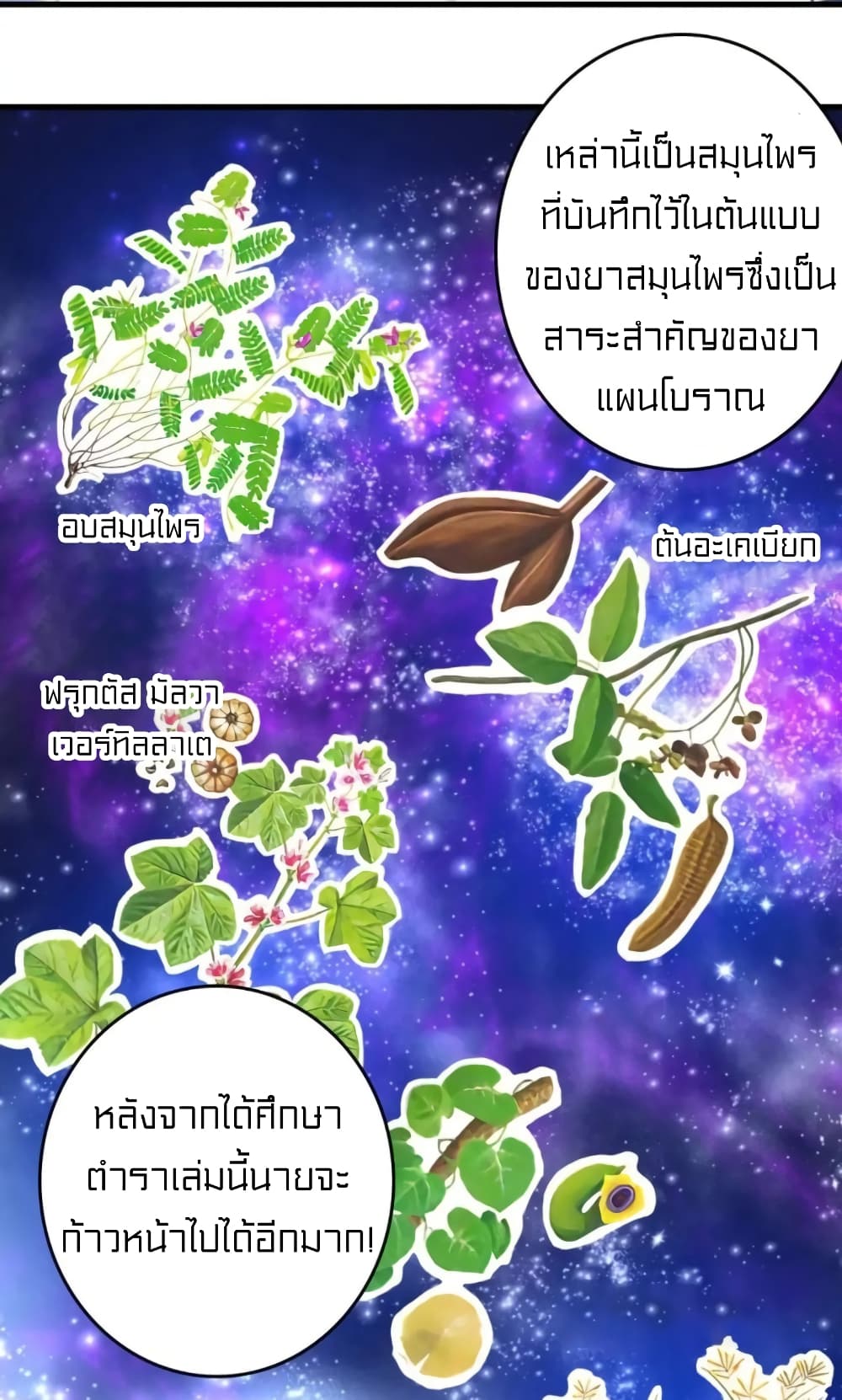 Rebirth of Legendary Doctor 24-24