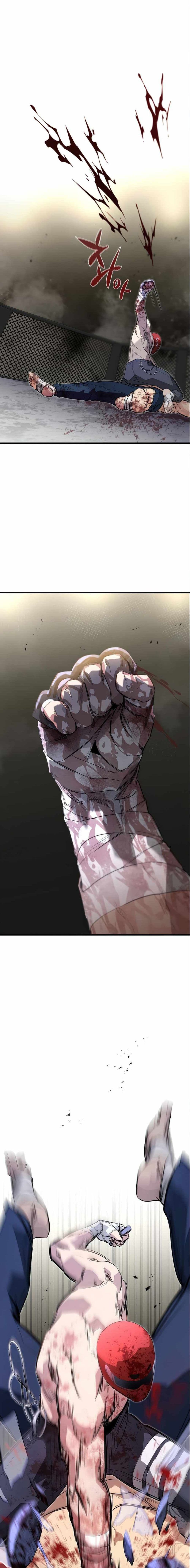 Phantom Spirit King 14-14