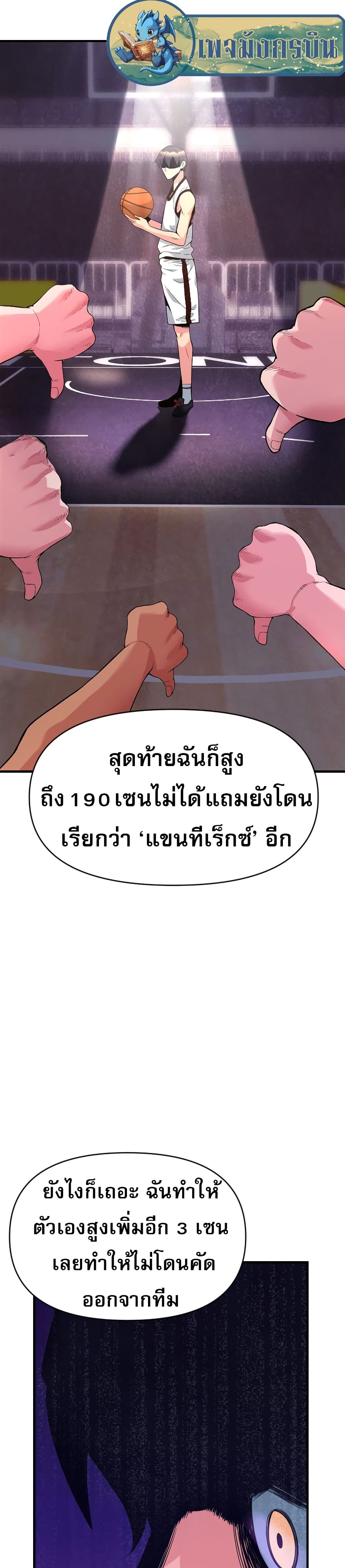 Y13 1-1