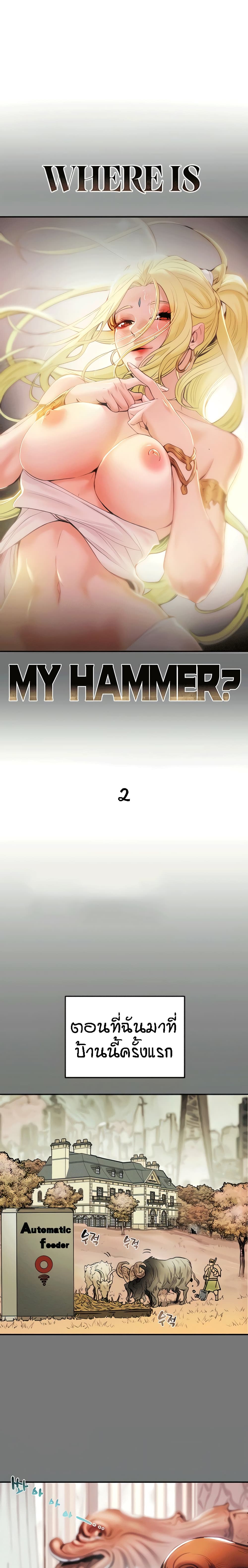 Where Did My Hammer Go? 2-2