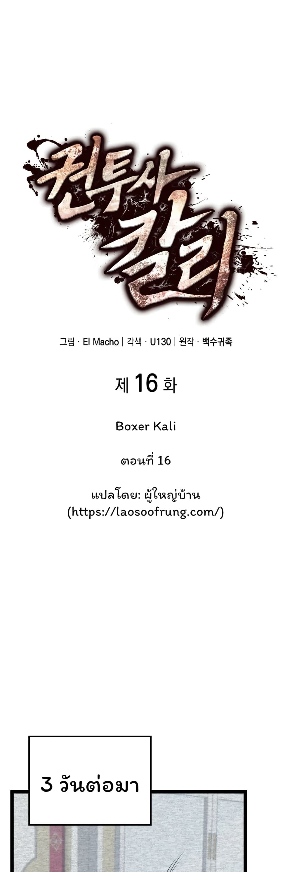 Boxer Kali 16-16