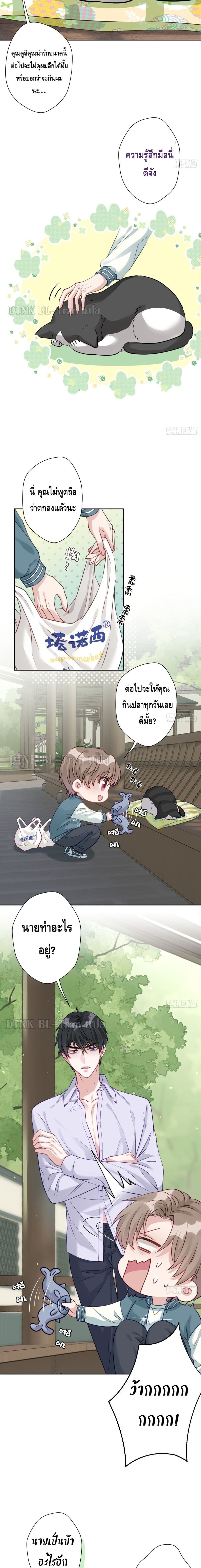 Cat Don't Lick Me 11-11