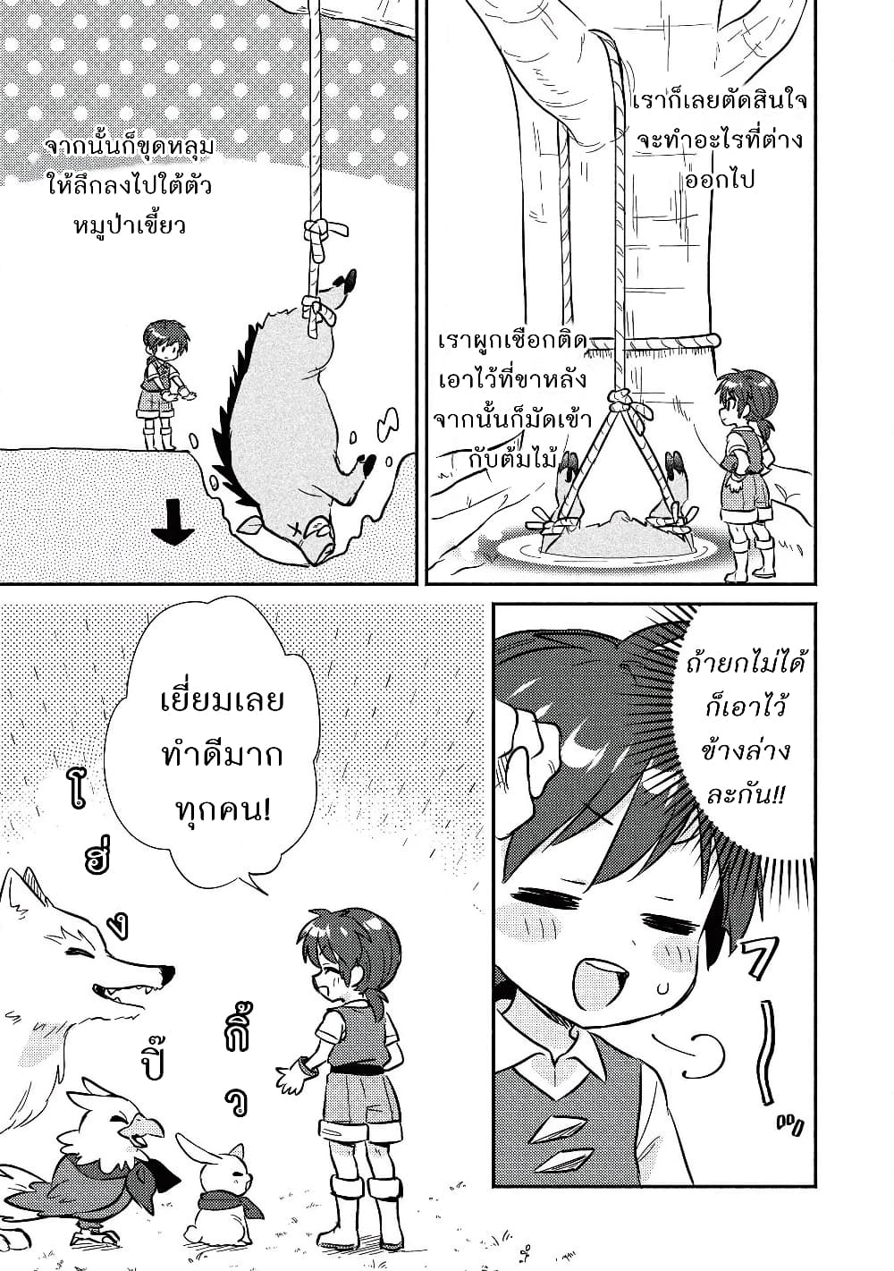 Kojiin Tamer 13-13