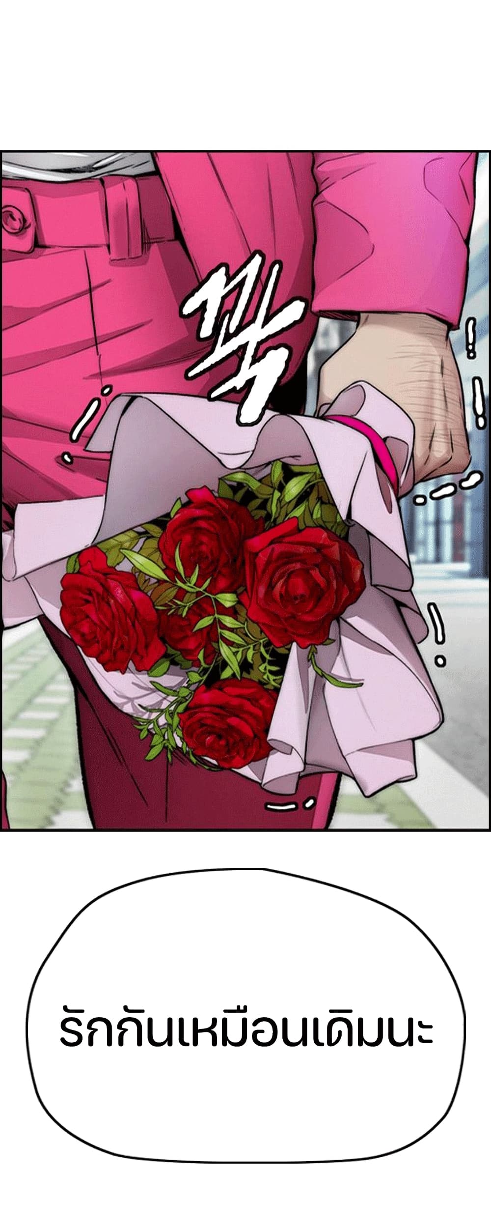 Windbreaker SS4 15-15